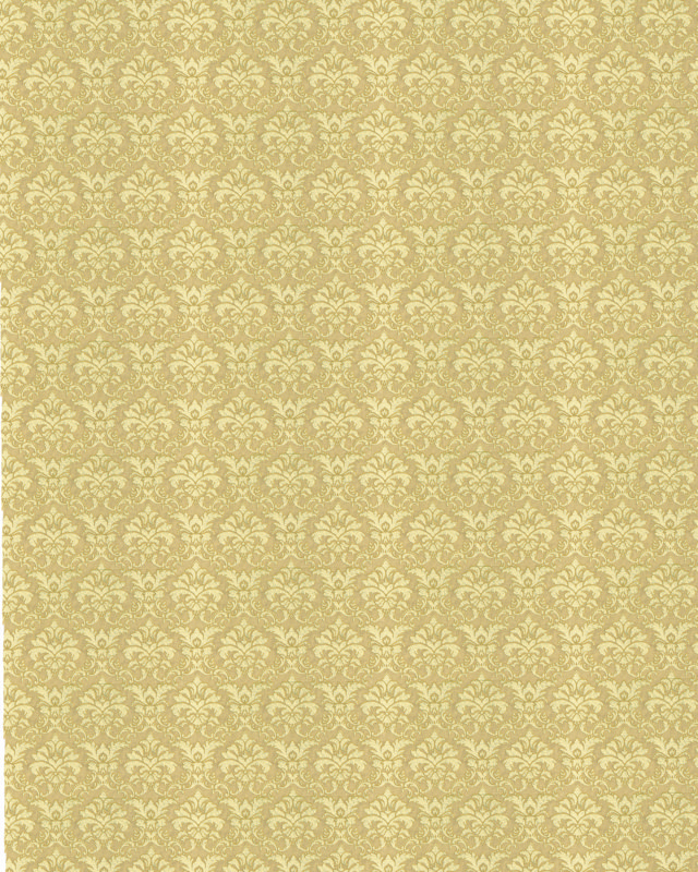ZN009-3 (FILEminimizer).JPG